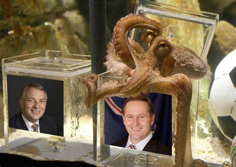 paul the octopus yes or no|The truth behind Paul's winning streak .